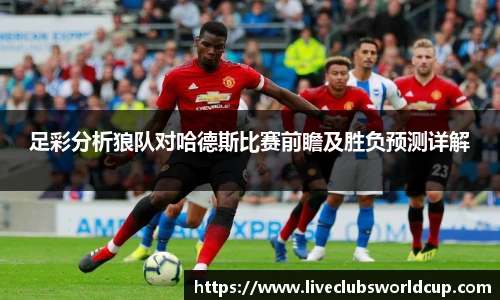 足彩分析狼队对哈德斯比赛前瞻及胜负预测详解